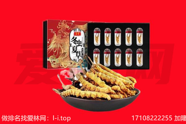 忻州回收虫草.jpg
